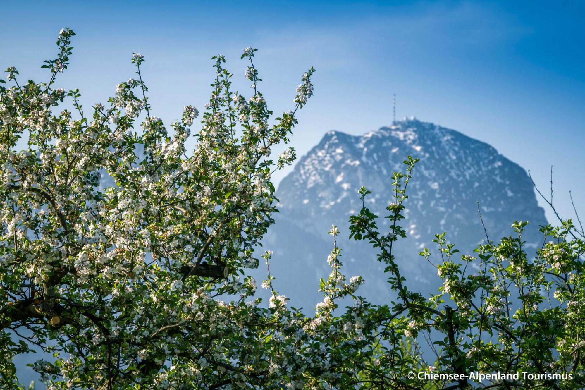 Land Wirtschaft Hoess Bad Feilnbach Bagian luar foto