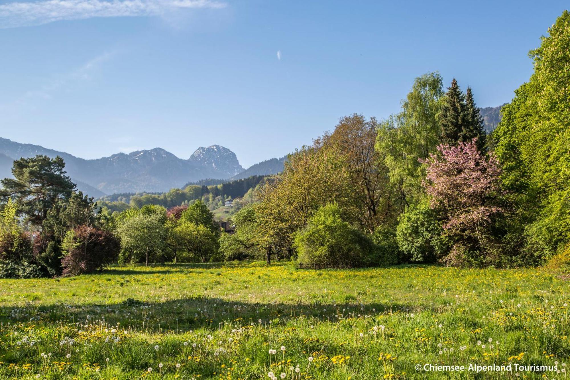 Land Wirtschaft Hoess Bad Feilnbach Bagian luar foto